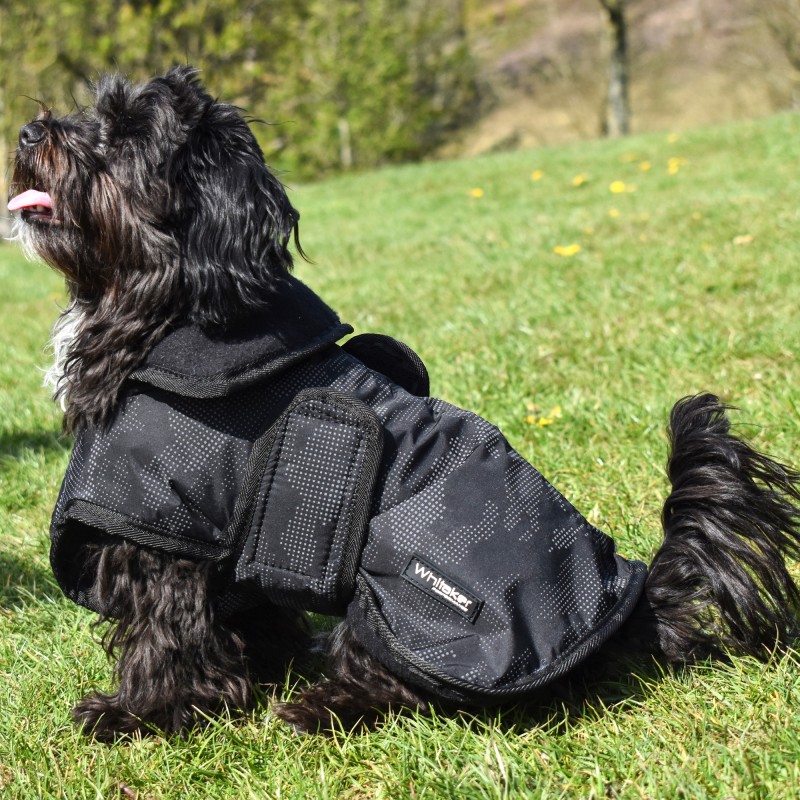 D213  Sydney Reflective Dog Coat